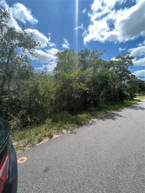 0 Young Rd, Lake Wales, FL 33898