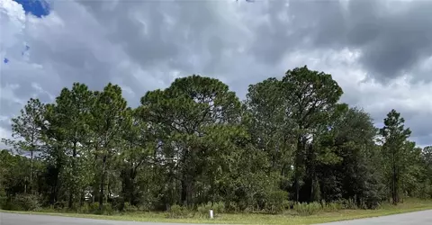 County Road 243a Lot 23, Wildwood, FL 34785