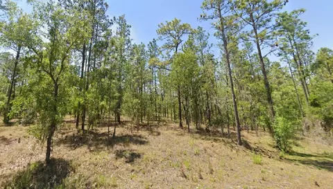 Redwing Road, Dunnellon, FL 34431