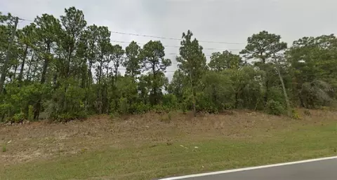 1695 W Citrus Springs Blvd, Citrus Springs, FL 34434