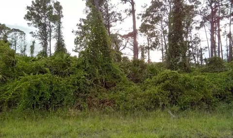 Tasco Drive Lot-18, North Port, FL 34291