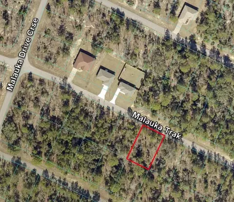 88 Malauka Trak, Ocklawaha, FL 32179