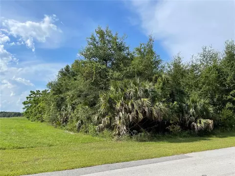 Cassady Street, Umatilla, FL 32784