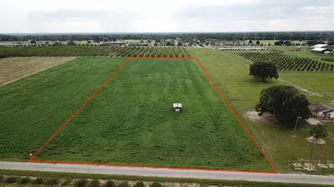 Charles Osborne Road, Umatilla, FL 32784