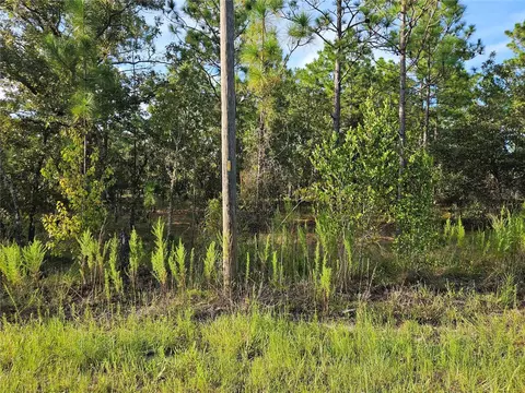 Tbd Sw Cottonwood Lane, Dunnellon, FL 34431