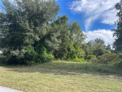 18322 Great Blue Heron Dr, Groveland, FL 34736