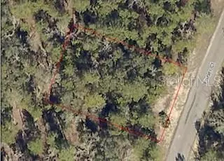 Undetermined, Ocklawaha, FL 32179