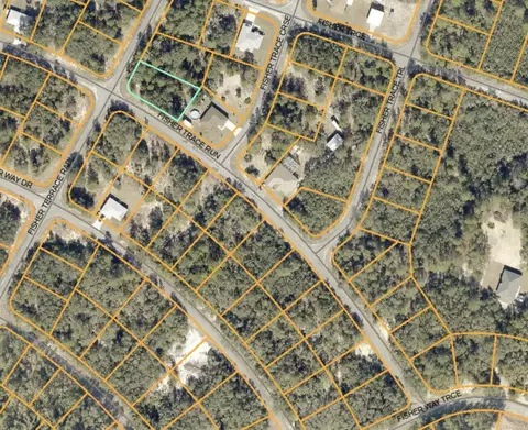 Fisher Terrace Radl, Ocklawaha, FL 32179
