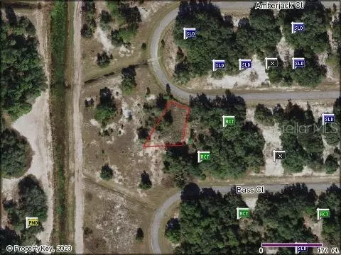 357 Amberjack Ct, Poinciana, FL 34759