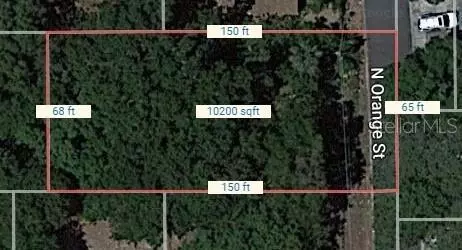N Orange Street, Mount Dora, FL 32757
