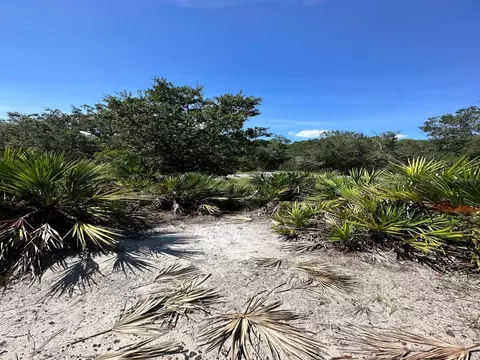 1314 Rutledge Ave, Lake Placid, FL 33852