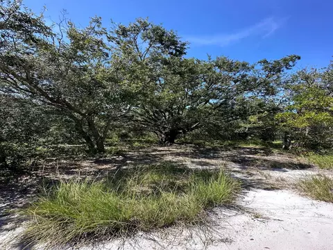 1316 Rutledge Ave, Lake Placid, FL 33852