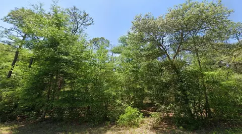 SW Arrow Leaf Trail, Dunnellon, FL 34431