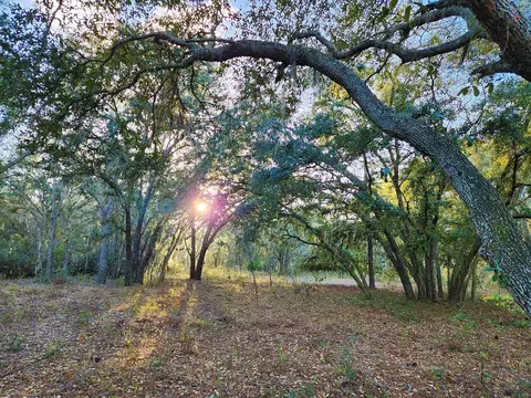 Green Swamp Road, Clermont, FL 34711