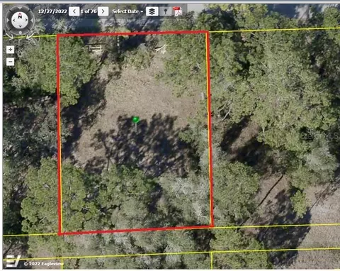 9442 Rousseau St, Webster, FL 33597