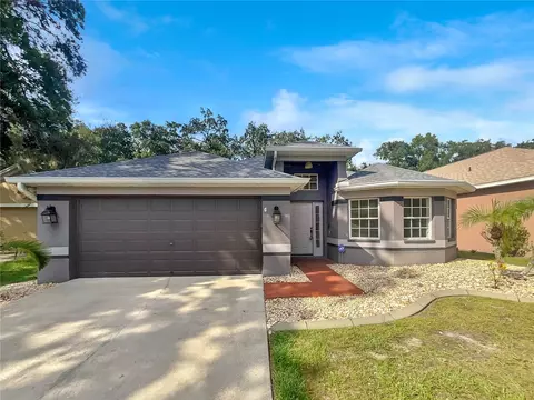 4705 Dunnie Dr, Tampa, FL 33614