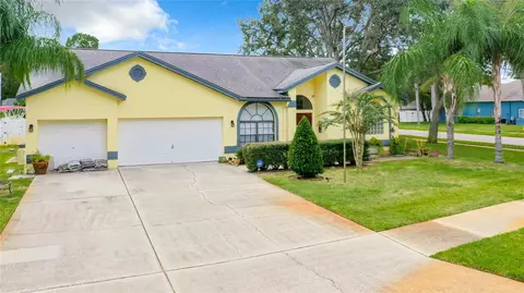 3358 Pattie Pl, Palm Harbor, FL 34685