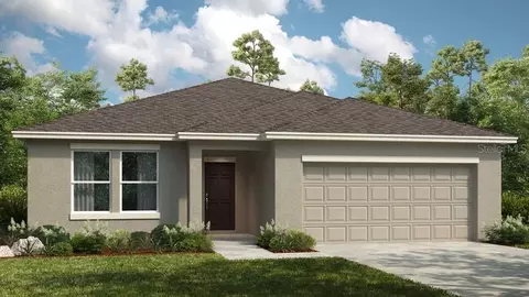 1315 Asher Mason Ave, Kissimmee, FL 34744