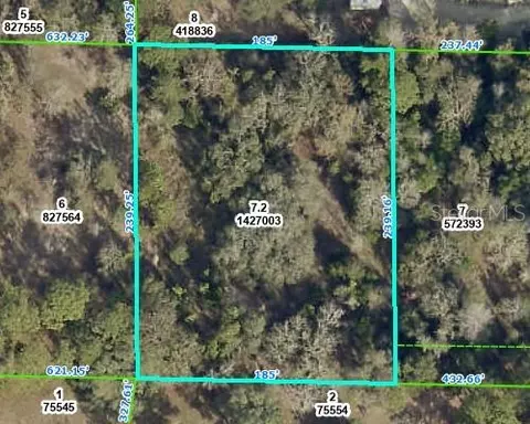 Lelani Drive, Weeki Wachee, FL 34614
