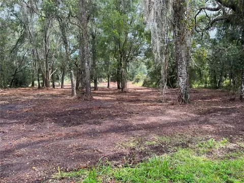 Octavia Lane, Webster, FL 33597
