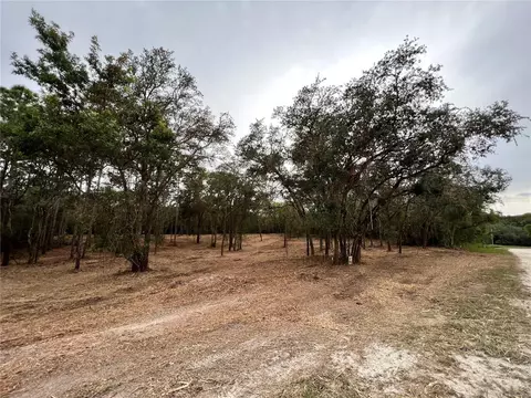 33140 Teakwood Dr, Webster, FL 33597