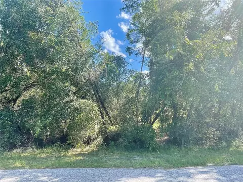 Wacassa Trail, Sorrento, FL 32776