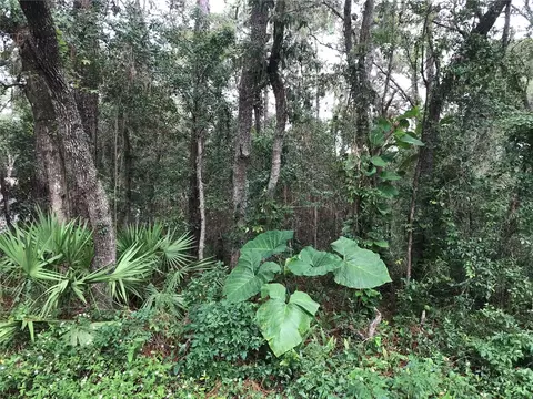 Albia Avenue, Mount Plymouth, FL 32776