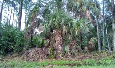 Simkins Avenue Lot 46, North Port, FL 34286