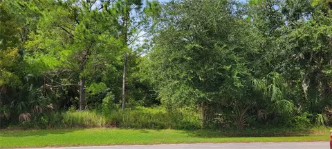 5950 Lake Avecadillac St, Sanford, FL 32773