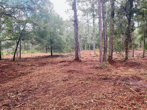 3547 Nutmeg Dr, Webster, FL 33597