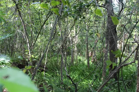 103 N Carolina Dr, Satsuma, FL 32189