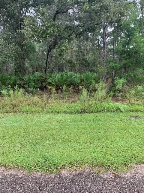 3648 W Norwick Pl, Citrus Springs, FL 34433