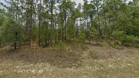 7168 N Deborah Ter, Citrus Springs, FL 34434