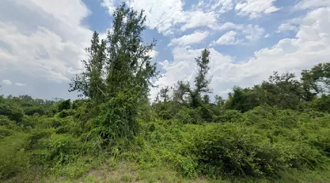 29155 Poe St, Punta Gorda, FL 33982