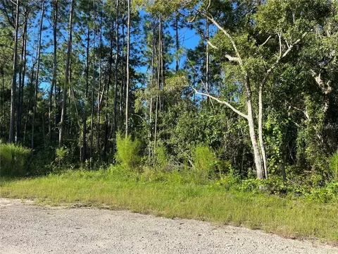 Miller Farms Court, Sanford, FL 32771