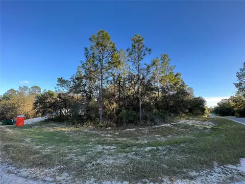 Tbd SW 151st Place, Ocala, FL 34473