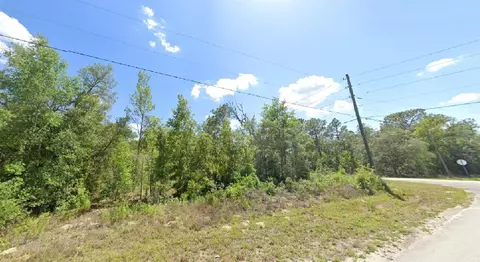 2740 W Dellwood St, Citrus Springs, FL 34434