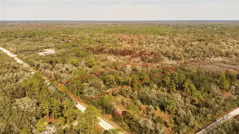 Chimney Rock Drive, Webster, FL 33597