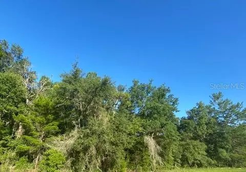 SW 18th Avenue, Ocala, FL 34473