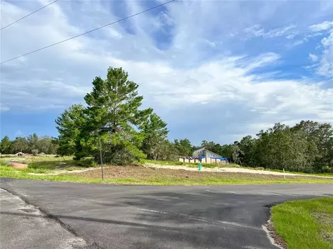 Bowfin Court, Poinciana, FL 34759