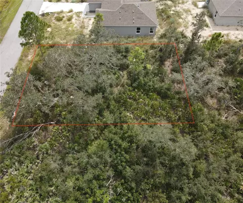 1608 Pickerel Ct, Poinciana, FL 34759