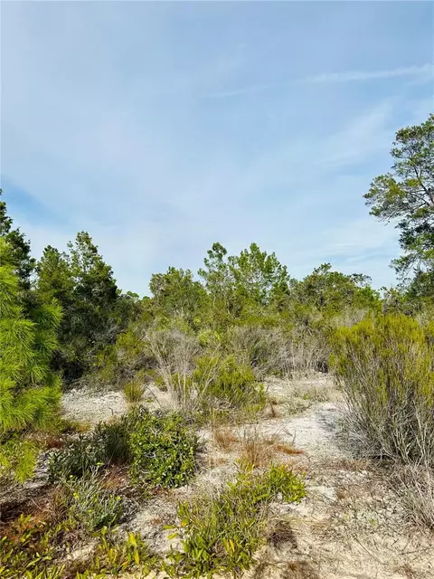 1050 Hughes Ave, Lake Placid, FL 33852