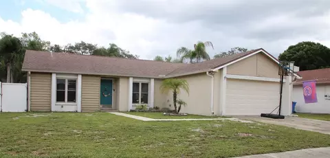 5359 Black Pine Dr, Tampa, FL 33624