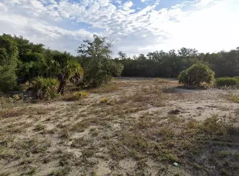 Goodstone Drive, Webster, FL 33597