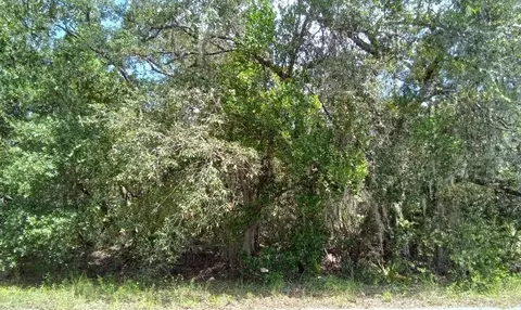 00000 Olive Way, Ocala, FL 34472