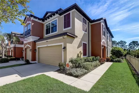 11460 Crowned Sparrow Ln, Tampa, FL 33626
