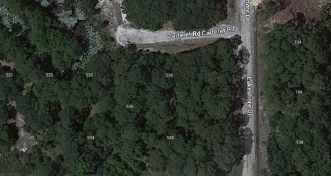539 Carteret Rd, Georgetown, FL 32139