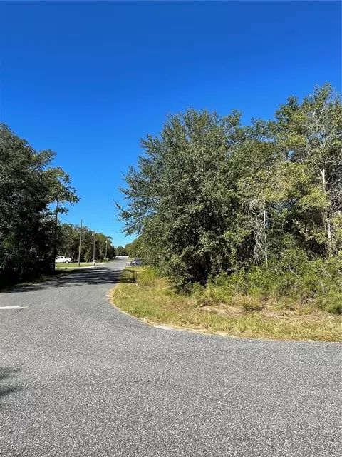 0 SE 158th Pl, Summerfield, FL 34491