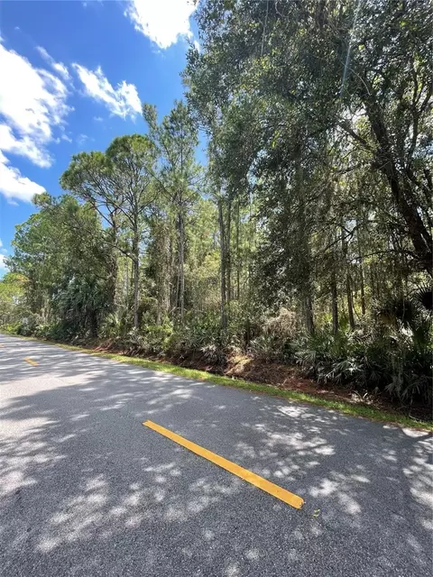 E Osceola Road, Geneva, FL 32732