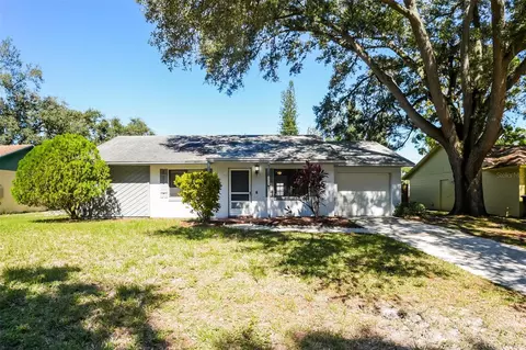 3319 Jujube Dr, Orlando, FL 32810